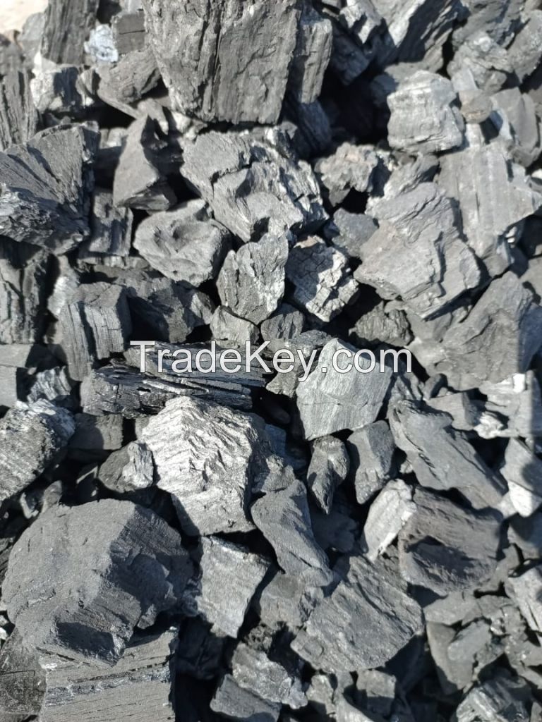 Ayin/Shisha Charcoal, Acacia Hardwood charcoal, Fingers Charcoal, Charcoal fines, Restaurant/BBQ Hardwood charcoal Grade A, And Charcoal Briquette