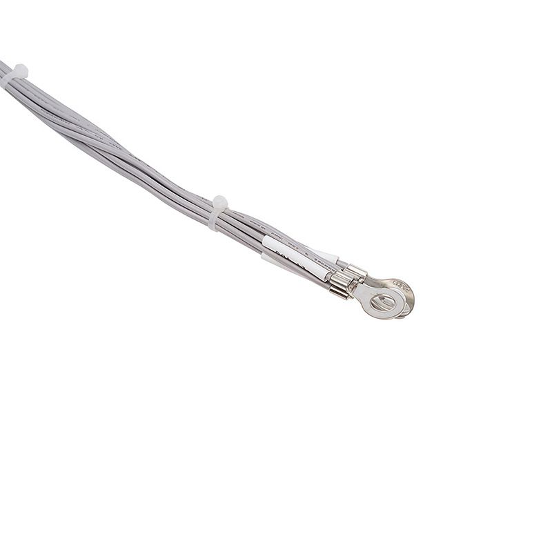 Custom Electronic Wire Harness, Electronic Ring Terminal Wire Harness, 10P Housing Terminal Connection Wire Harness