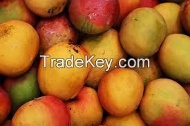 ALL FRESH MANGOS