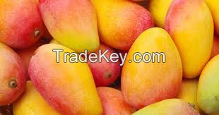 ALL FRESH MANGOS