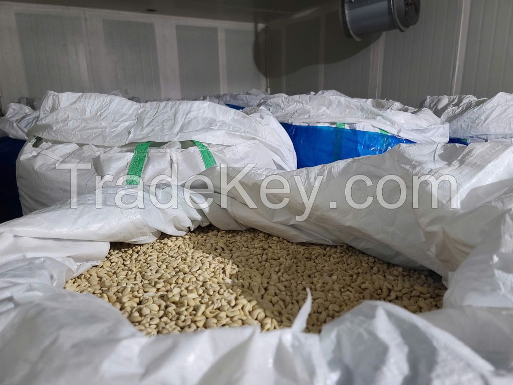 VIETNAMESE CASHEW