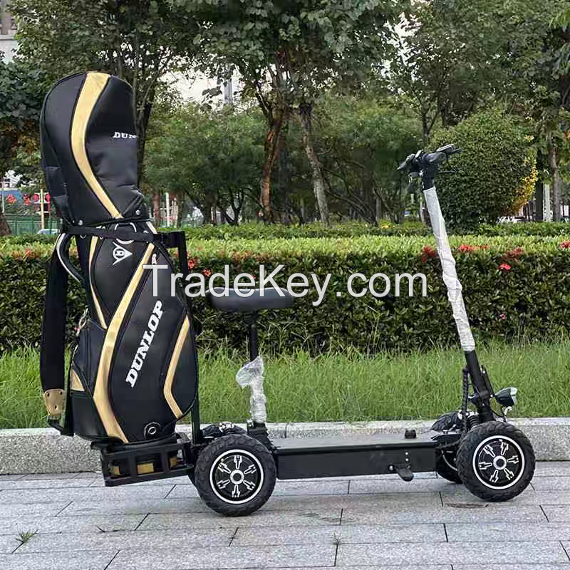 Electric Single Golf Cart Mini Buggy Car 1 seat for Sightseeing and Golf Course