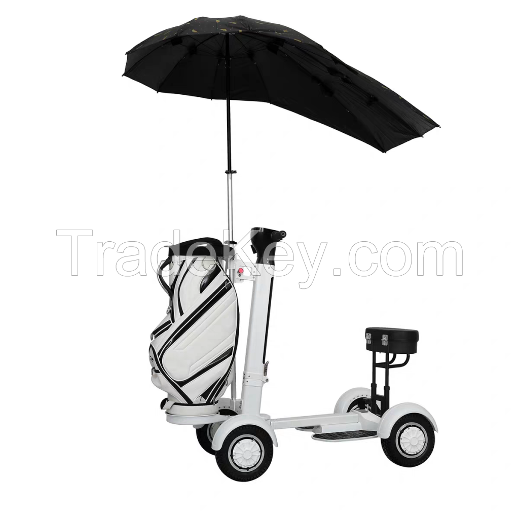 Affordable Chinese Electric Single Golf Cart Car for Sale Comfortable Single Electric Golf Carts