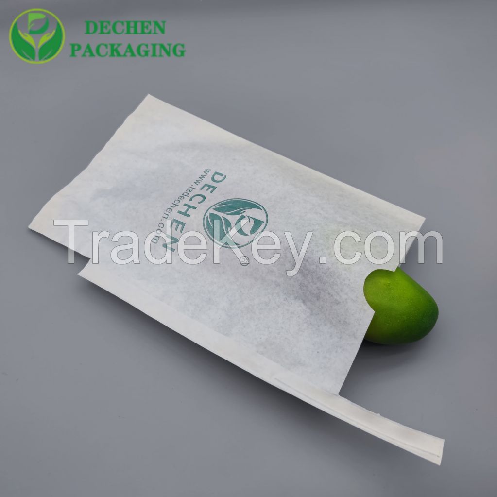 Mango Bag Apple Fruit Protection Bags