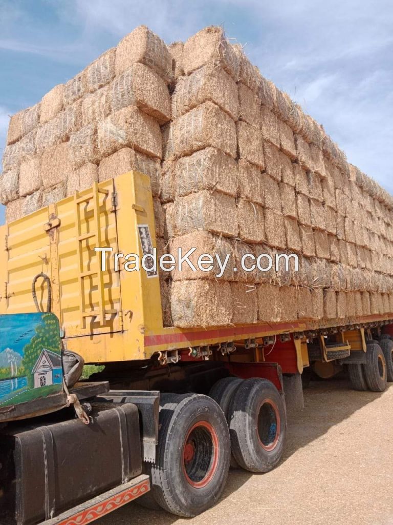 Wheat straw