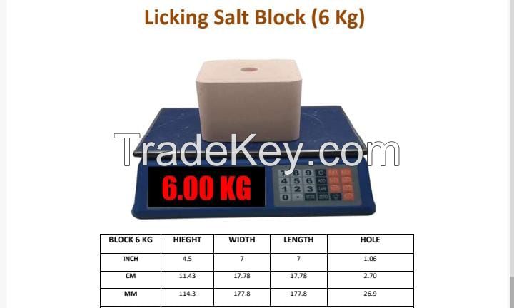 Compressed Himalayan Pink Salt Blocks