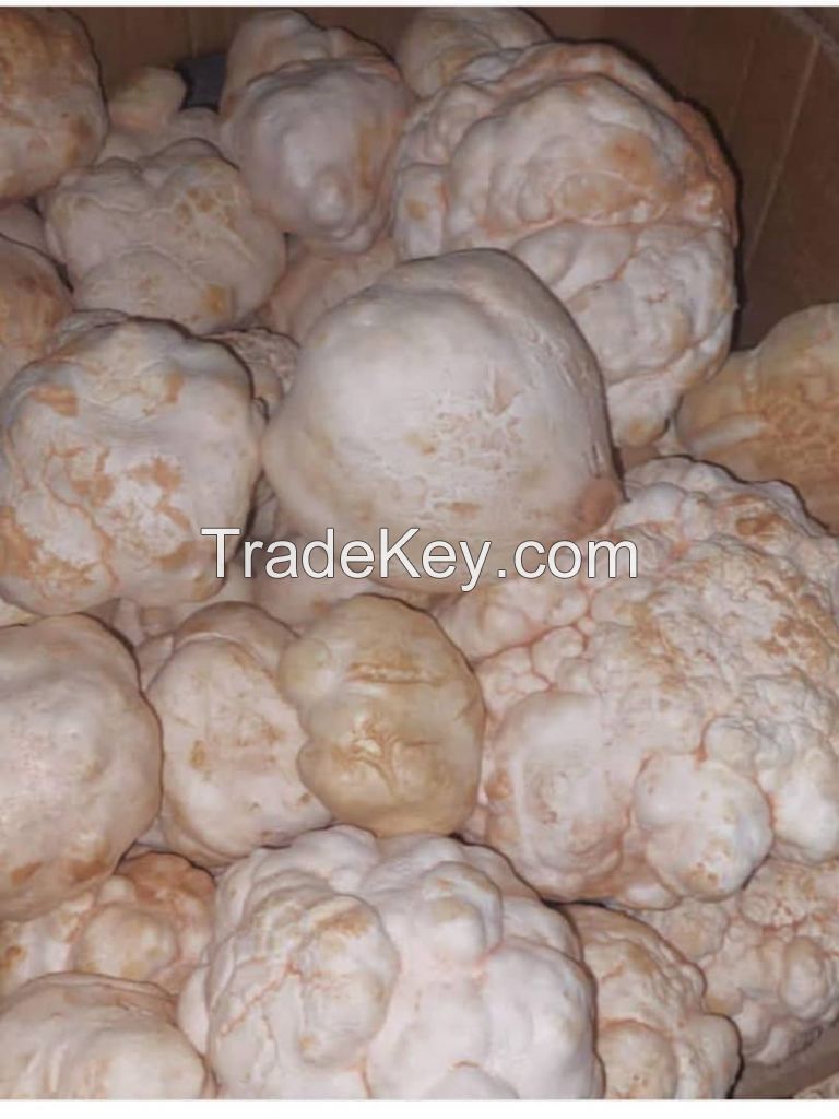 White Desert Truffle