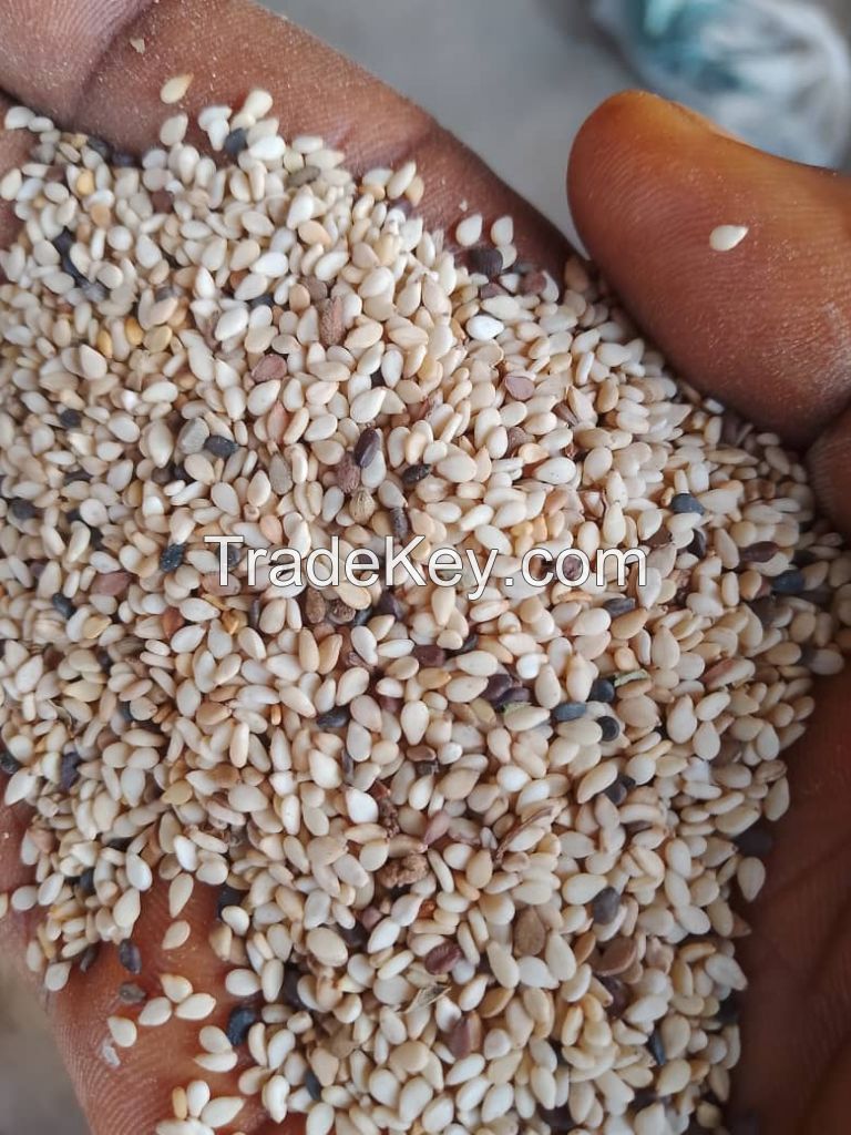sesame seed