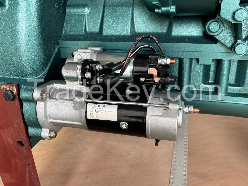 Sinotruck WD615 Series Diesel Engine
