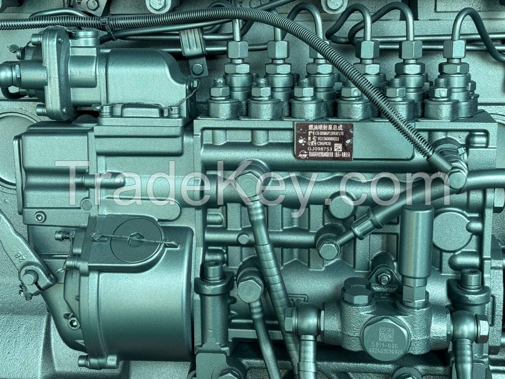 Sinotruck WD615 Series Diesel Engine