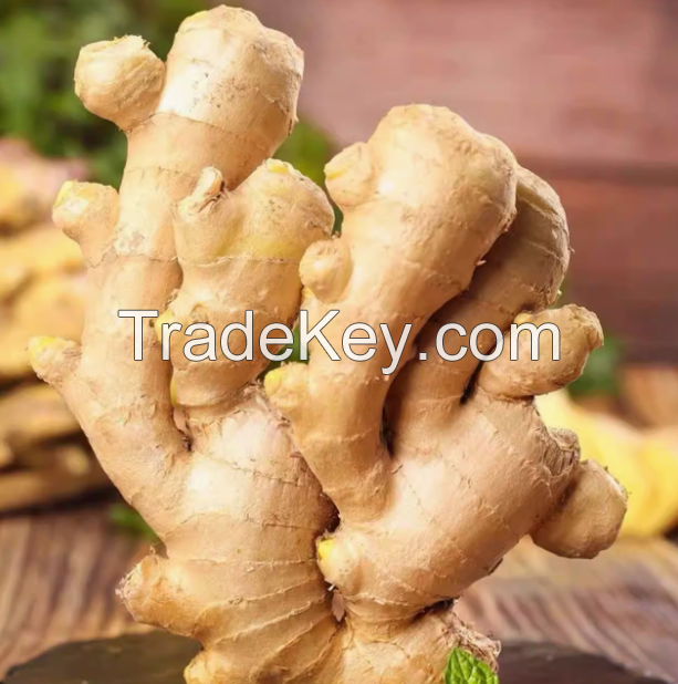 Fresh ginger crop 2023 new crop color yellow flavor spicy top quality