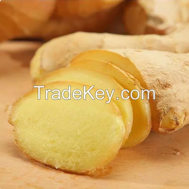 Fresh ginger crop 2023 new crop color yellow flavor spicy top quality