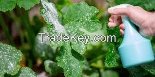 Fungicides