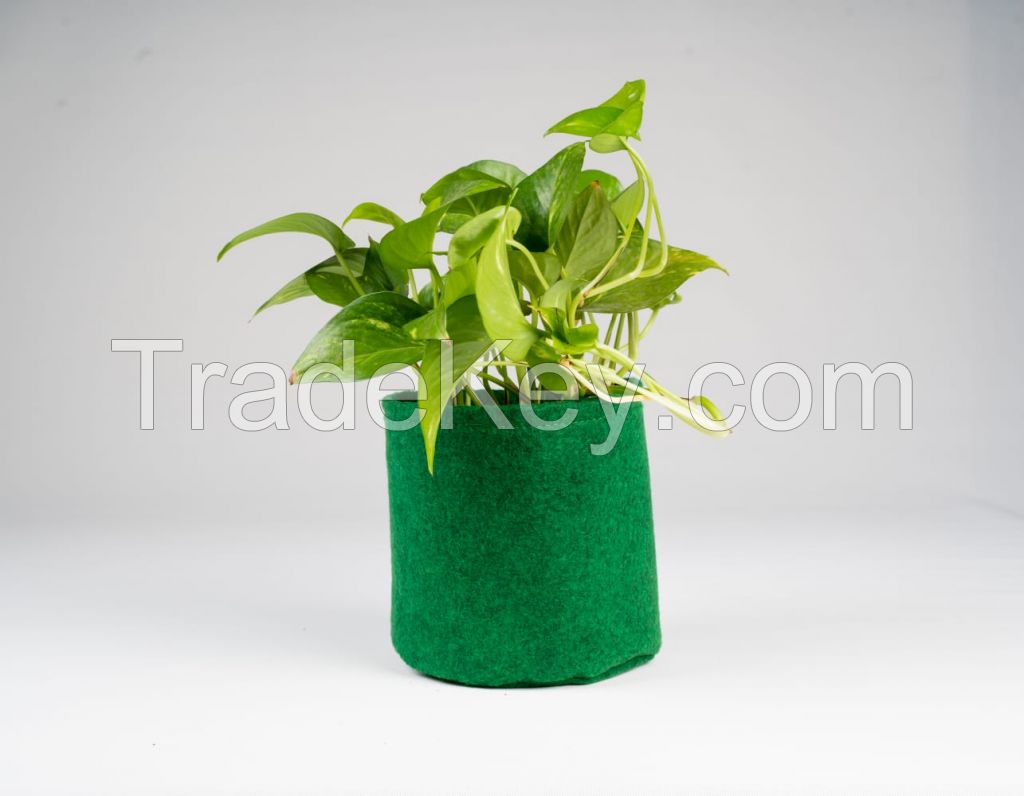 Felt grow bags 
