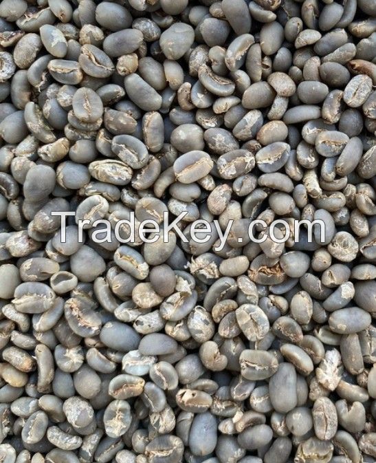 Arabica Lintong Coffee Beans