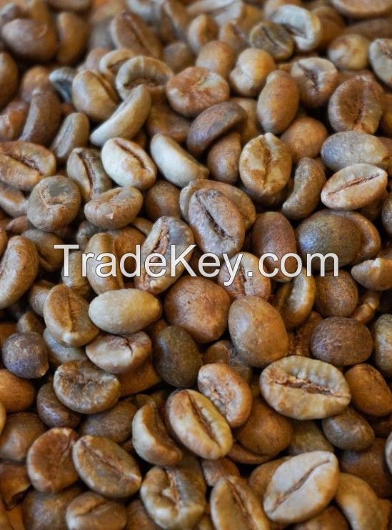 Robusta coffee beans