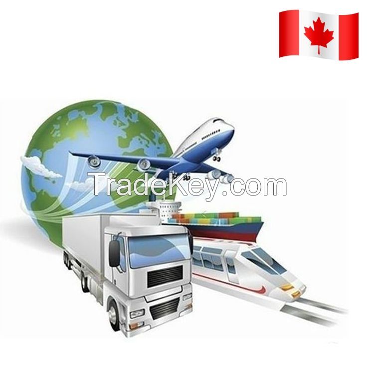 Professional China Logistics Services Company Low Rate CA Air Freight Forwarder with Express Shipping Agent