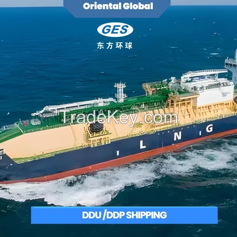 Cheapest Worldwide Sea Trucking Special Line Door to Door Service Efficient and Reliable Logistics Solution Agent China