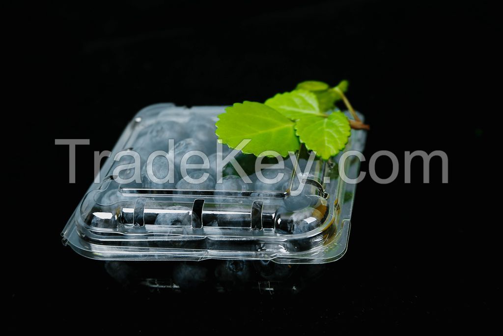 breathable rigid fruit vegetable containers for strawberry blueberry.