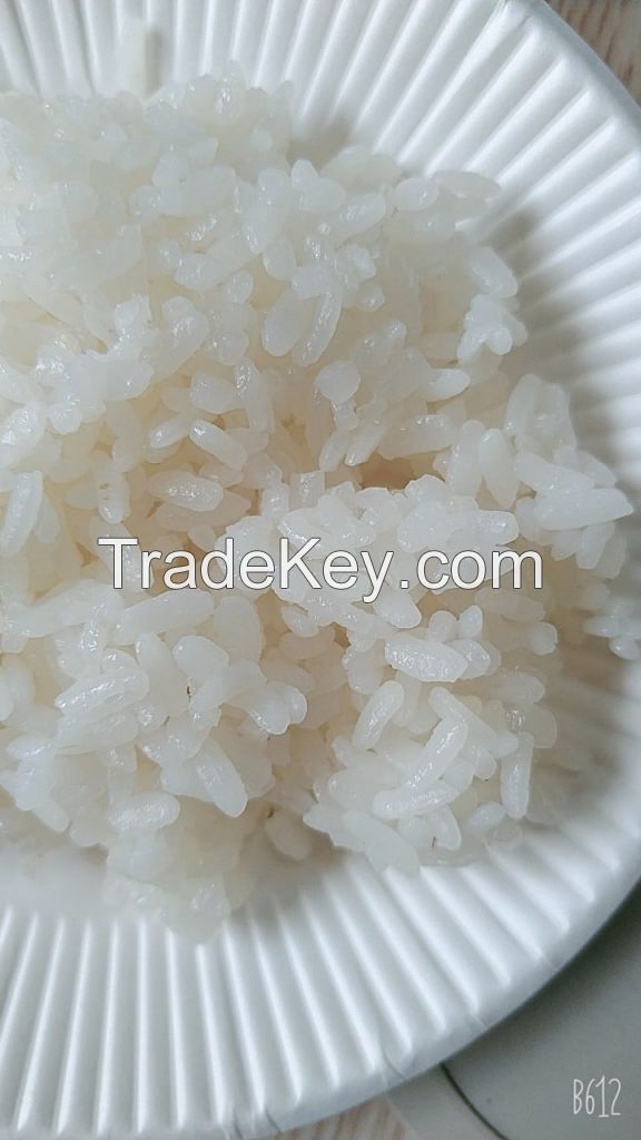 Bac Huong Rice Bach Dien