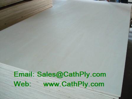 Birch/Poplar/Pine/Okoume/Bintangor Plywood