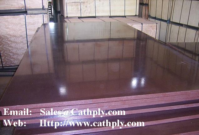 Black, Brown, Transparent Film Faced Plywood