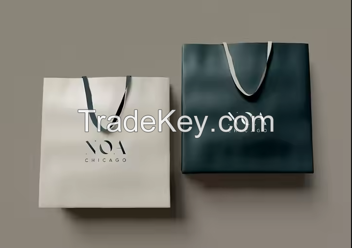 Custom Logo Printed Luxury Gift Paper Bag Jewelry White Cardboard Shopping Paper Bags for Clothing Shoes