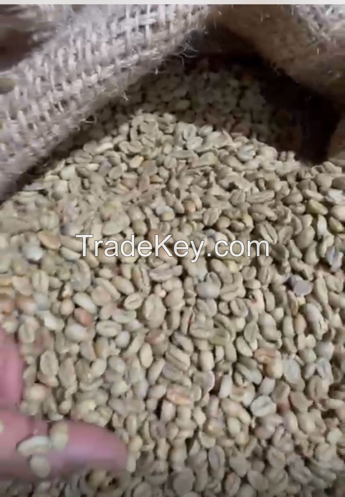 Ethiopia Lekempti G5 Green Coffee Beans