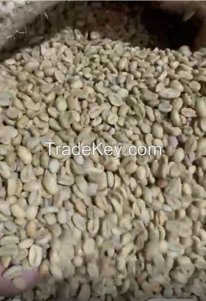 Ethiopia Lekempti G5 Green Coffee Beans