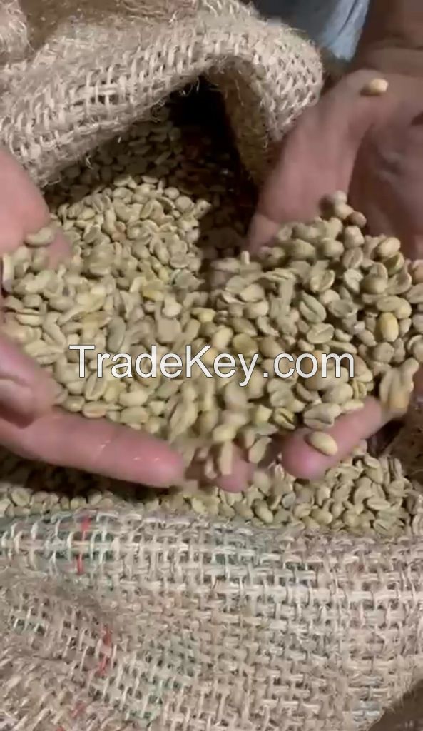 Ethiopia Lekempti G5 Green Coffee Beans