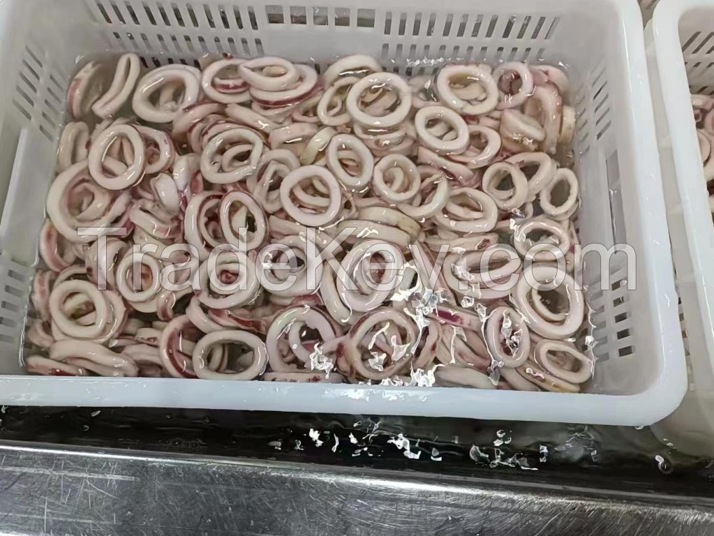 Good Quality Indian Ocean Squid Ring Cooked with Skin Squid Ring