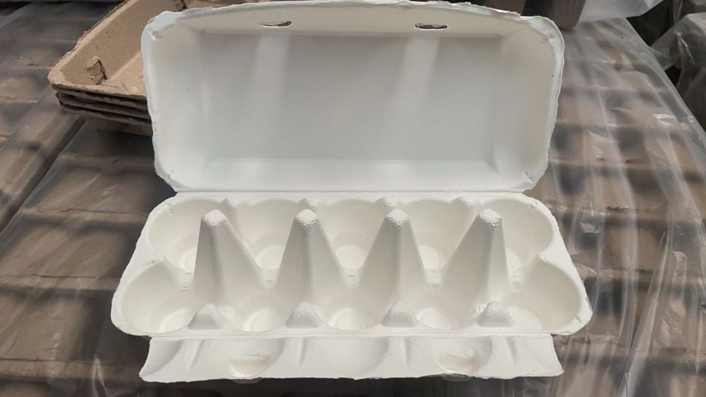 PTPACK Natural Pulp Egg Cartons 18 Paper Cardboard Eggs Flat Compostable  Empty Egg Carton