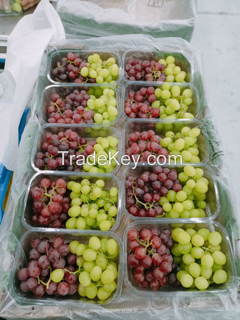 fresh grapes