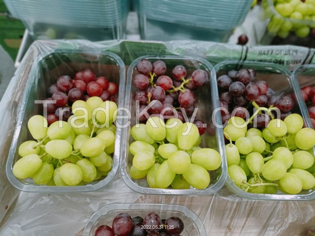fresh grapes