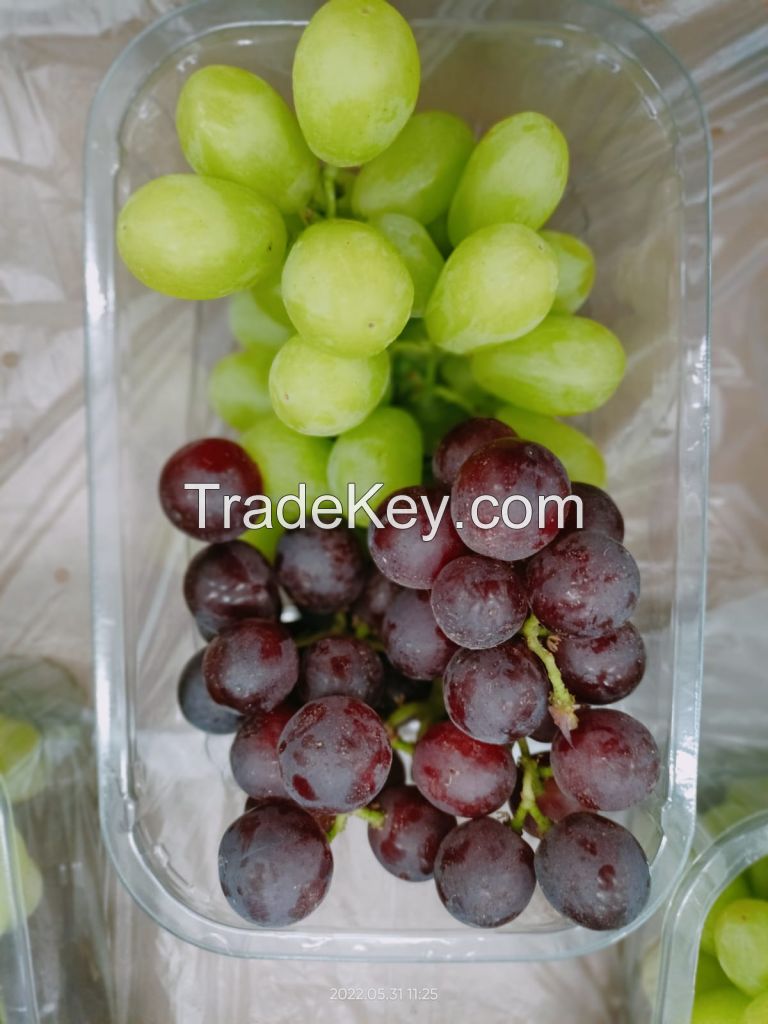 fresh grapes