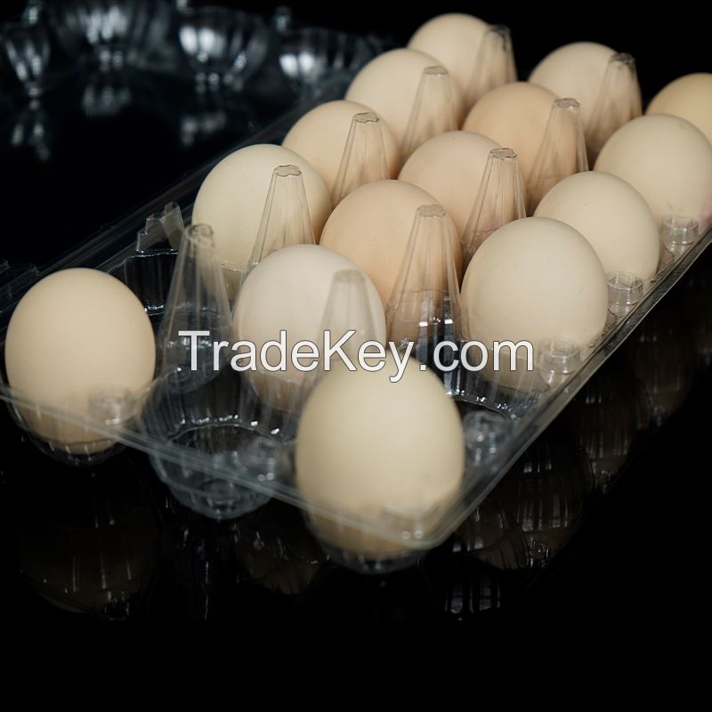 Middle Size Stackable Egg Storage Holder Recyclable Egg Trays Plastic Egg Cartons Customizable Boxes and Labels