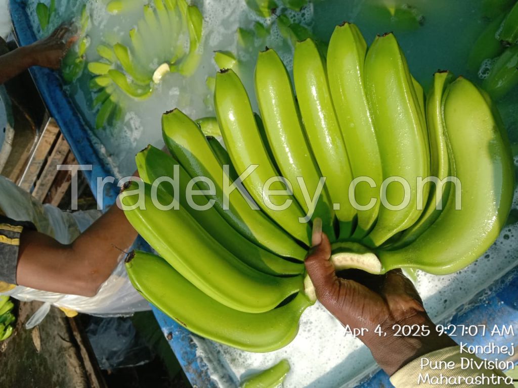 fresh banana 