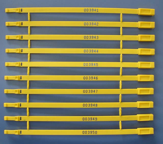 Tamper evidence seal - plastic seal