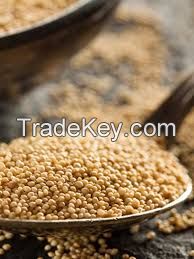 Grade A Organic Amaranth Flour Ã¢ï¿½ï¿½ Gluten-Free, High Protein, Bulk Supply