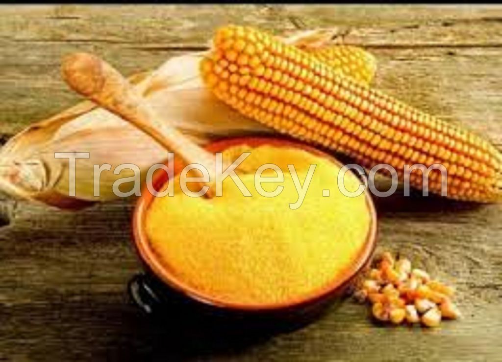 Grade A Corn Flour Ã¢ï¿½ï¿½ Food Grade Bulk Supply, OEM Packaging Available
