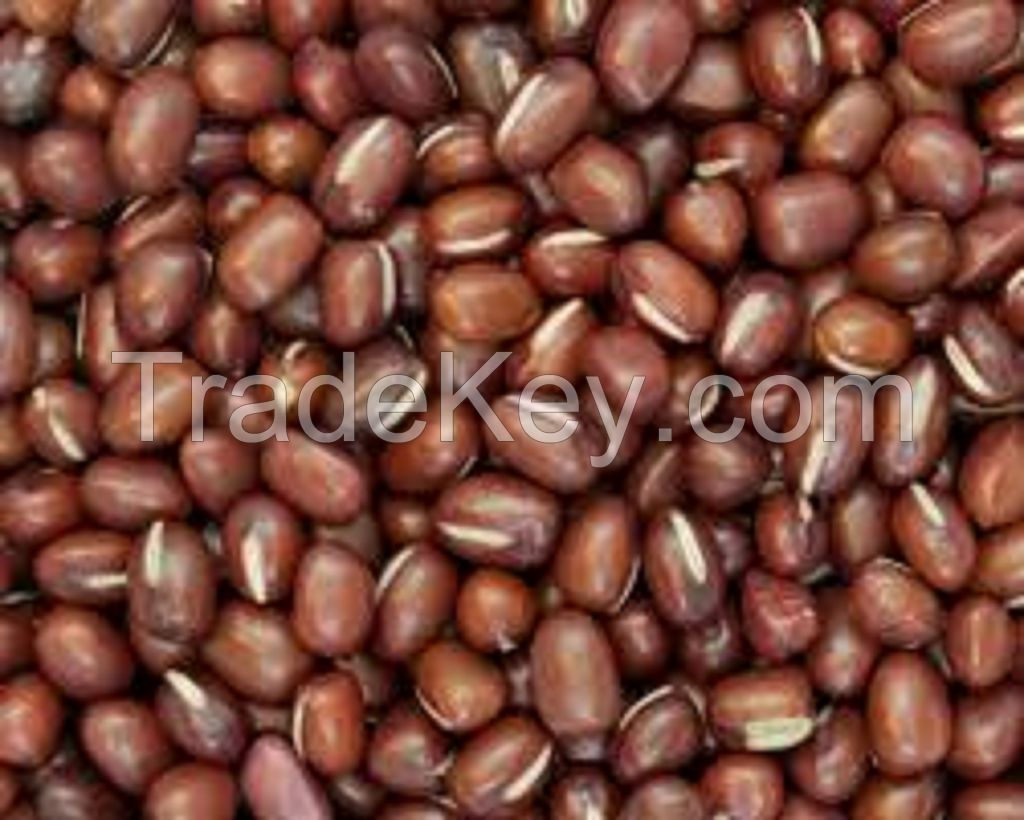 Grade A Adzuki Beans Ã¢ï¿½ï¿½ Bulk Supply, Organic & Conventional