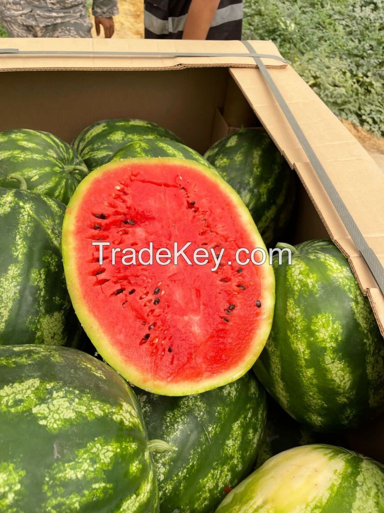Watermelon