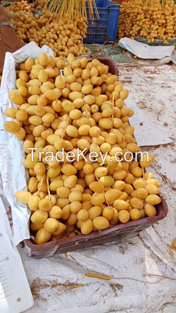 Dates
