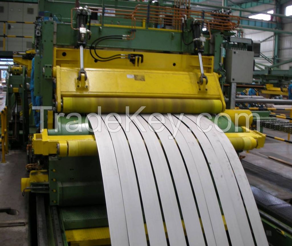 Stainless Steel Strips