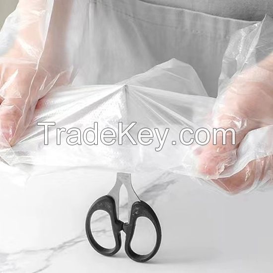 DDsafety 15+years,Polythene Household Daily Food Pharma Oil Proof Cheap High Quality Thicken PE Disposable Gloves