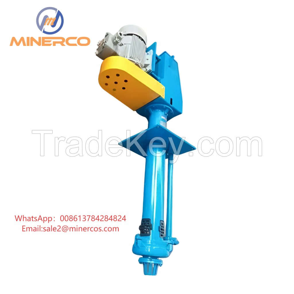 Single Stage Pump Vertical Submerged Slurry Pump