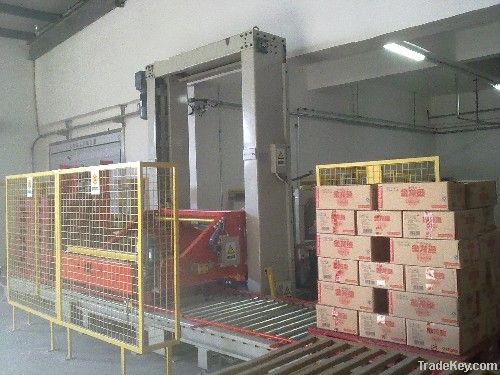 case palletizer