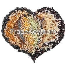 Bulk Exporter of High-Quality Grains for Global Markets