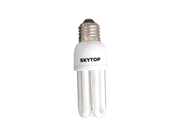 Compact Fluorescent Lamp