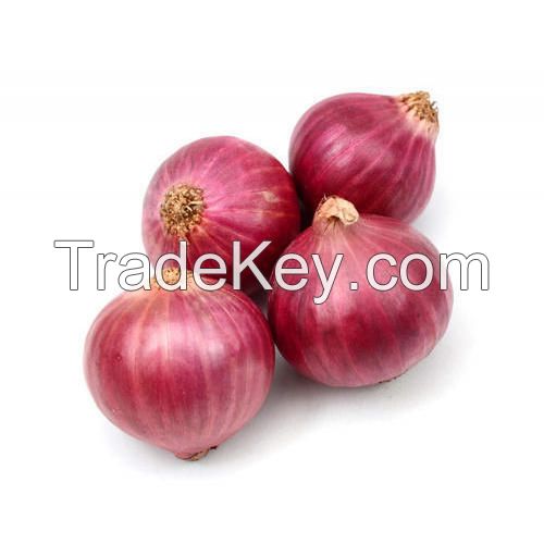 FRESH RED ONION